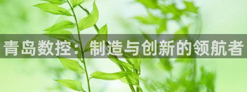 天辰娱乐_675138