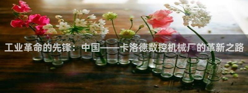 天辰娱乐论坛