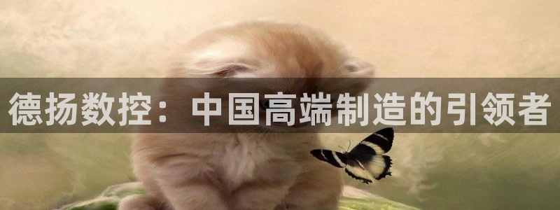 天辰娱乐招商