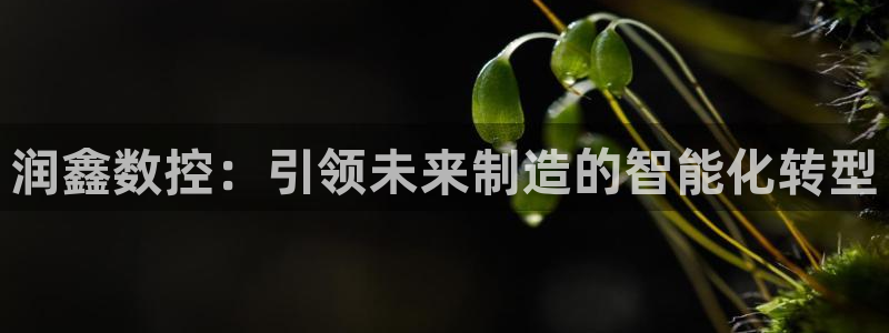 天辰娱乐文化