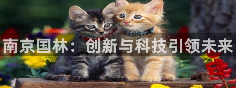 天富天辰娱乐