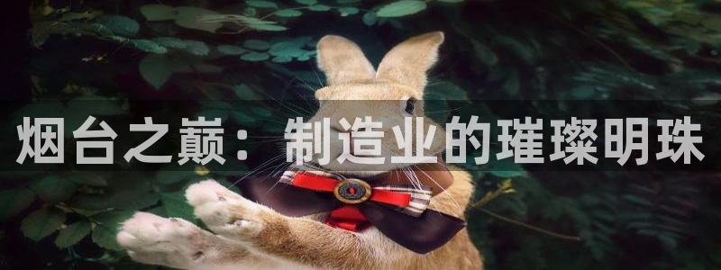 天辰娱乐平台测速