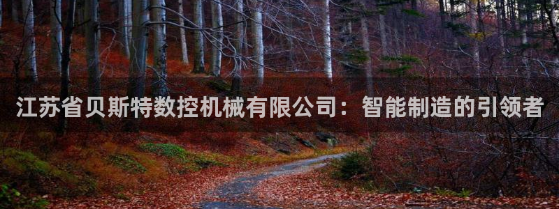 天辰娱乐app