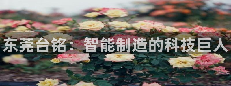 天辰娱乐481928