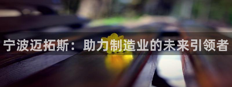 天辰娱乐老板