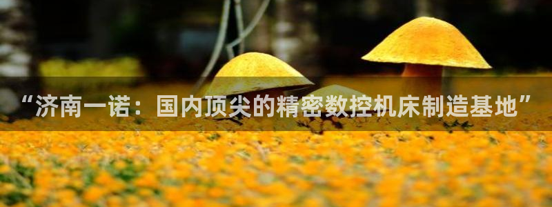 深圳天辰娱乐