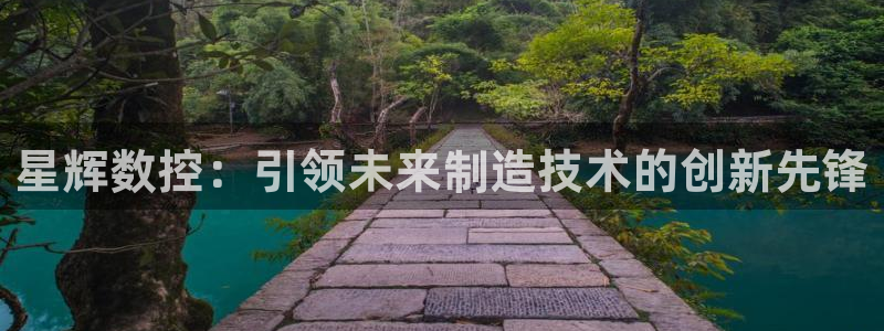 天辰臣娱乐