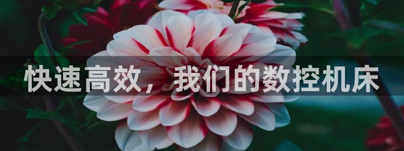 天辰娱乐557696
