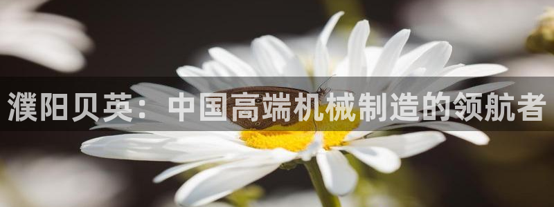 天辰平台娱乐