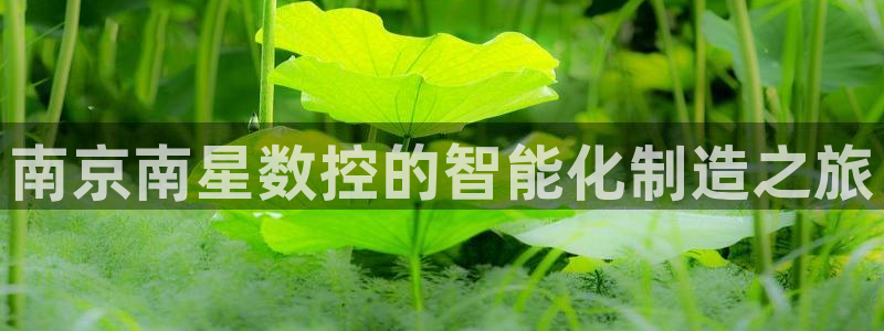天辰娱乐内部