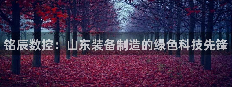天辰娱乐海洋