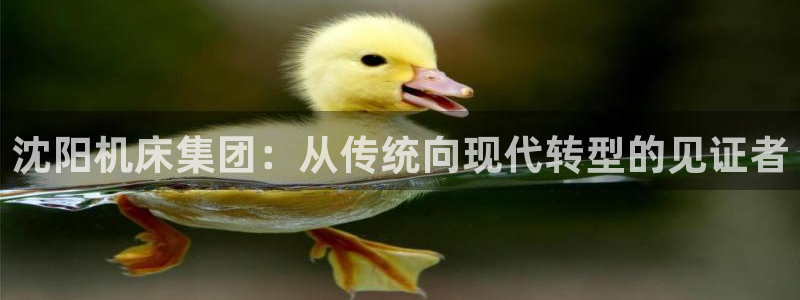 菲律宾天辰娱乐