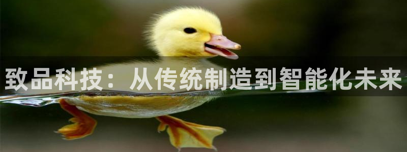 天辰娱乐内部