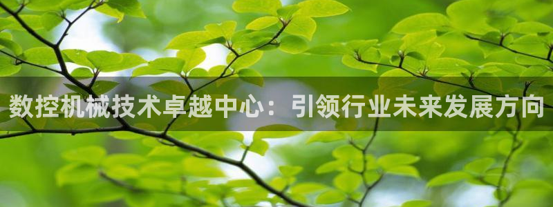 天辰娱乐-18113