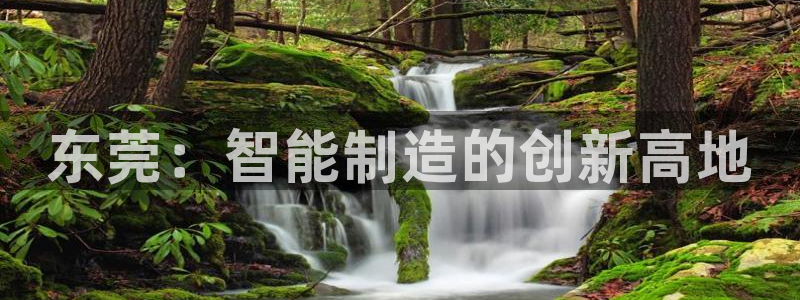 天富天辰娱乐
