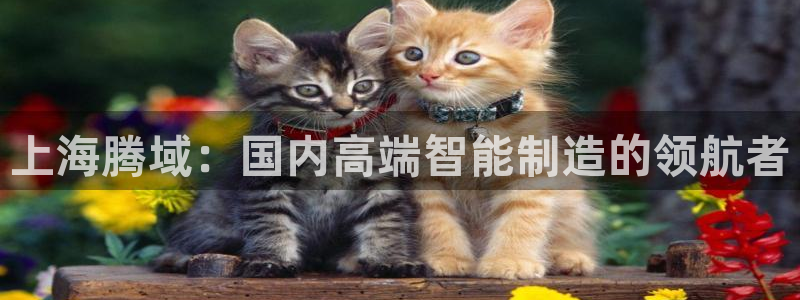 天辰娱乐平台注册