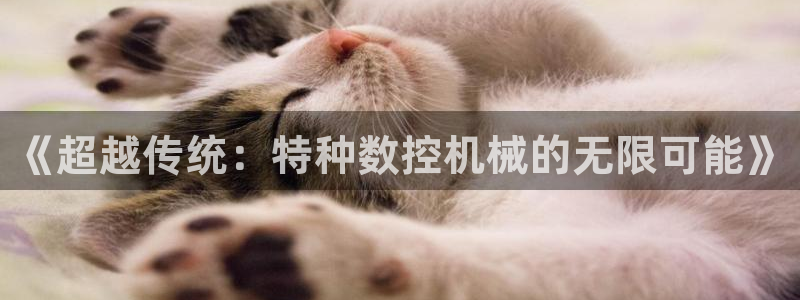 天辰娱乐连接