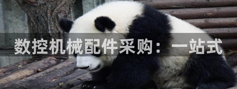 天辰娱乐主管