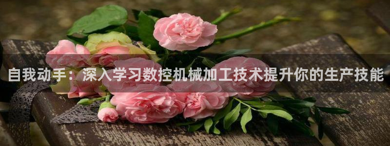 哈尔滨天辰娱乐