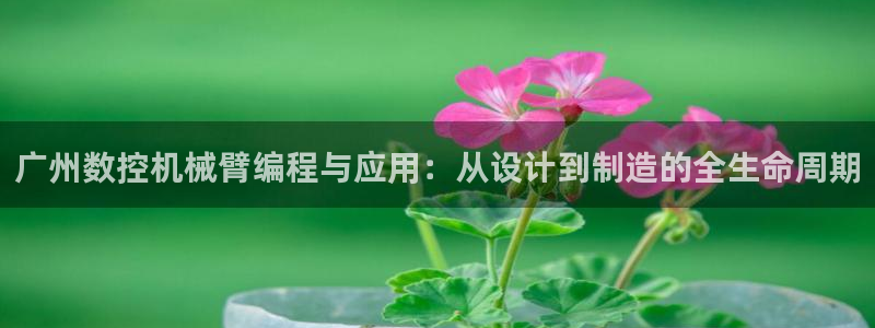 天辰娱乐软件