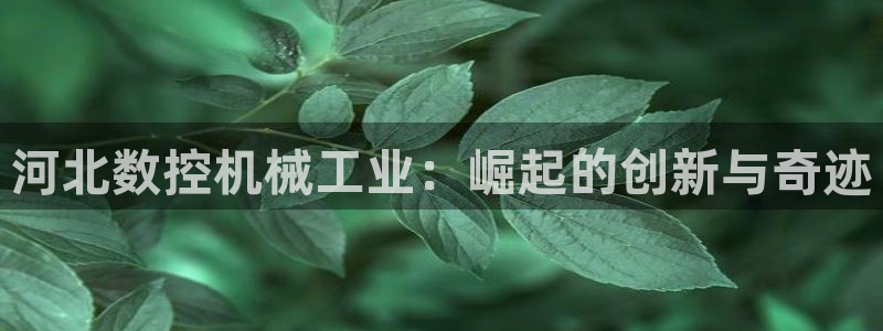 天辰娱乐平台app下载