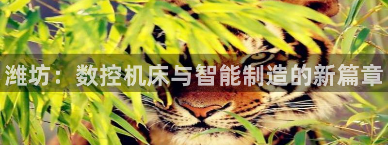 天辰娱乐酒店