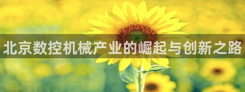 天辰娱乐文化