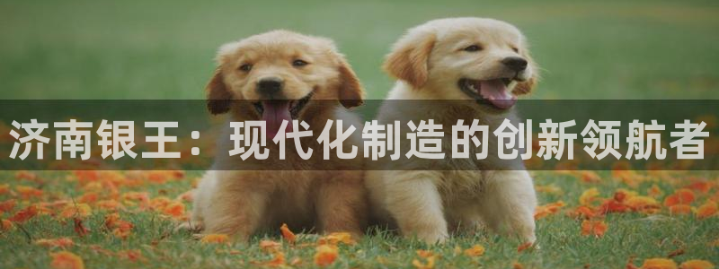 天辰娱乐ttf