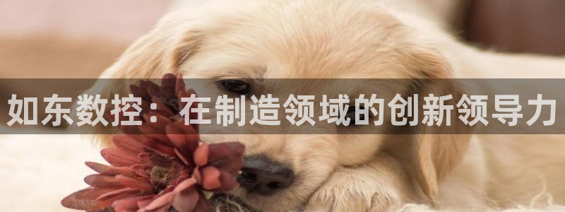 天辰娱乐平台地址在哪里