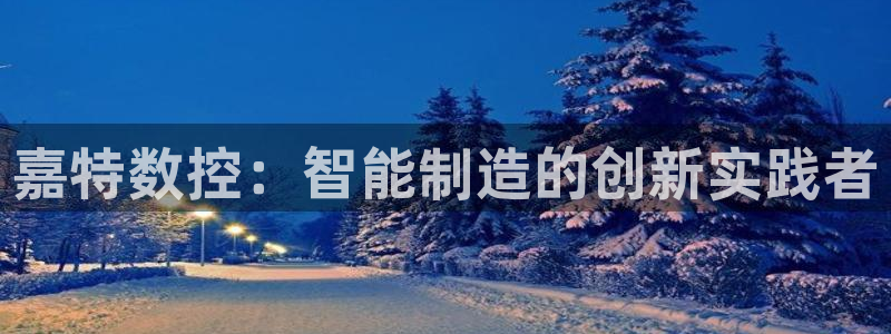辰天娱乐用品
