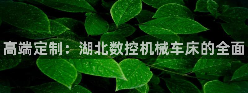 天辰娱乐服务