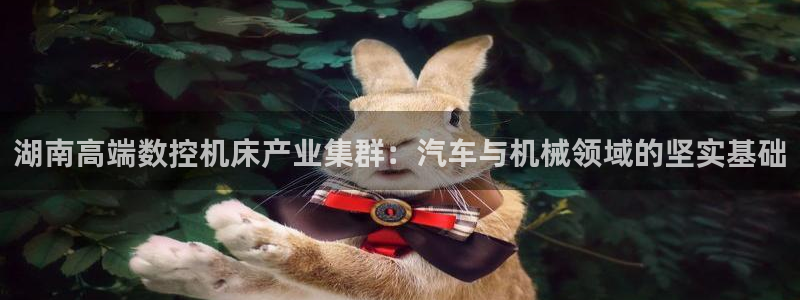 深圳天辰娱乐