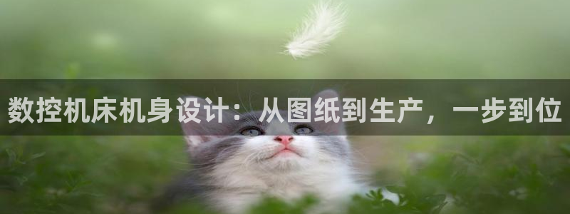 天辰娱乐2
