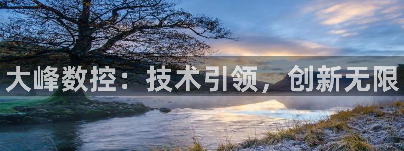 天辰娱乐软件：大峰数控：技术引领，创新无限