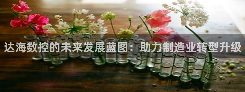 天辰娱乐反水