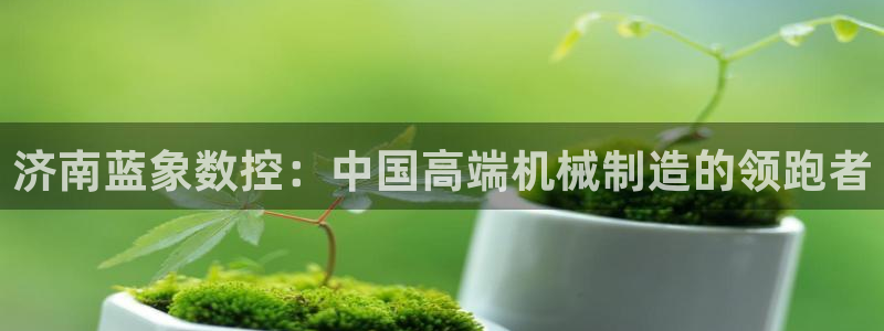 天辰娱乐所