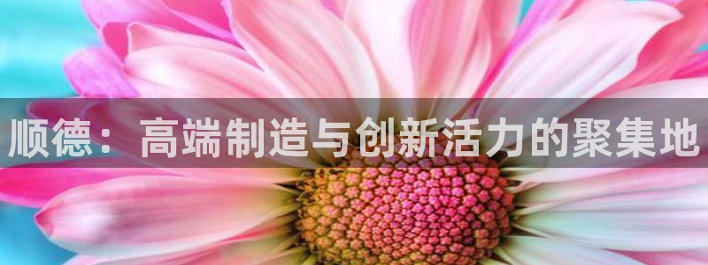 天辰娱乐登陆