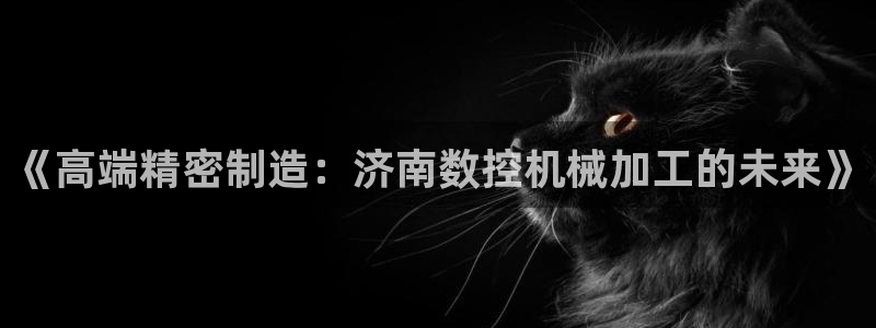 nba天辰娱乐