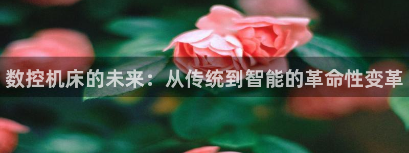 手机上怎么下载天辰娱乐