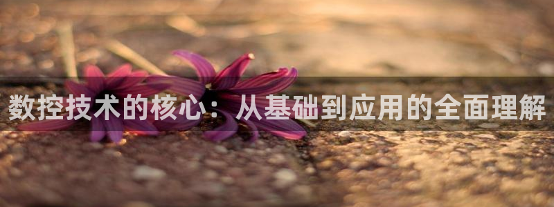 天辰娱乐app