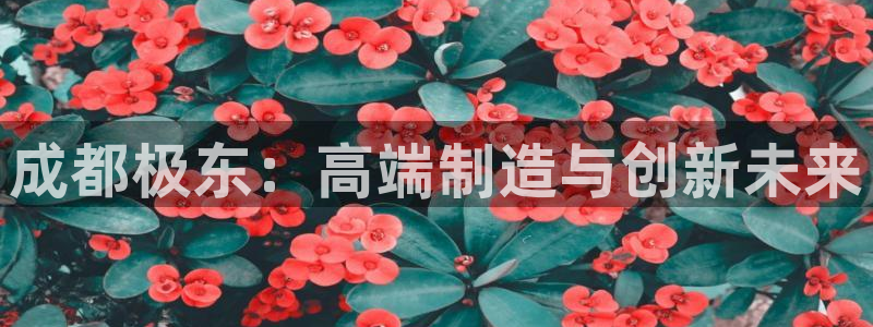 天辰娱乐 首选