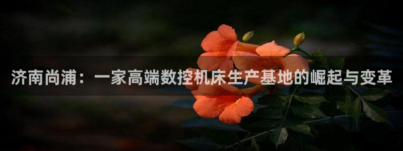天辰娱乐39974神