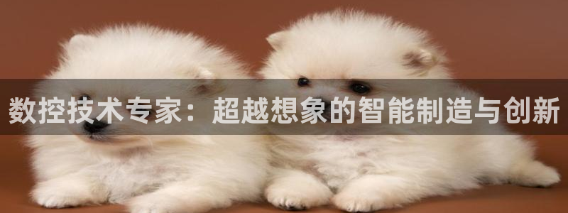天辰娱乐下载地址