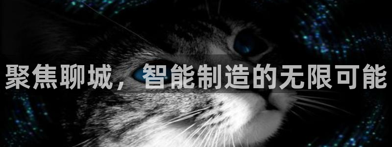 广东天辰娱乐