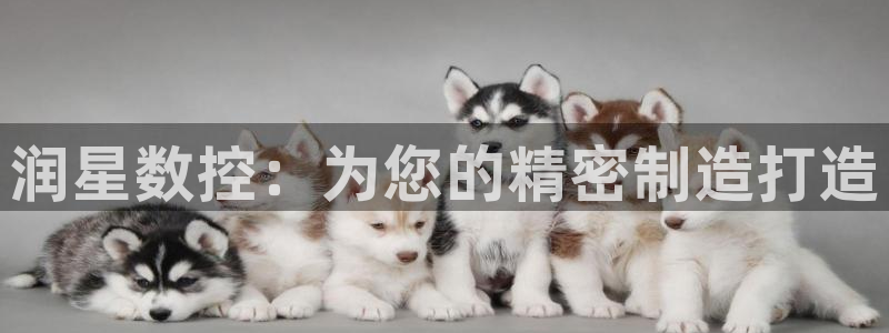 天辰娱乐游客