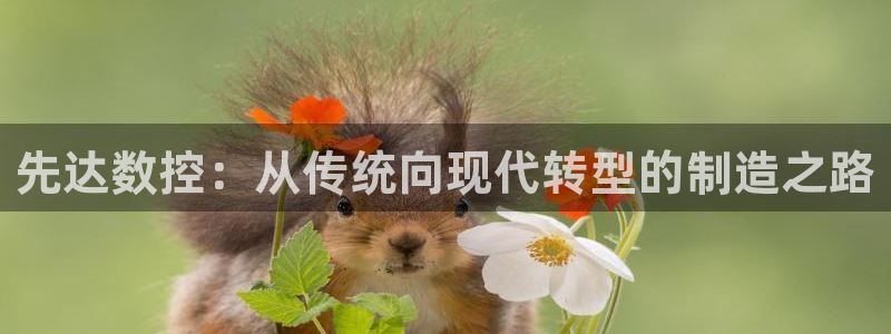 天辰娱乐481928
