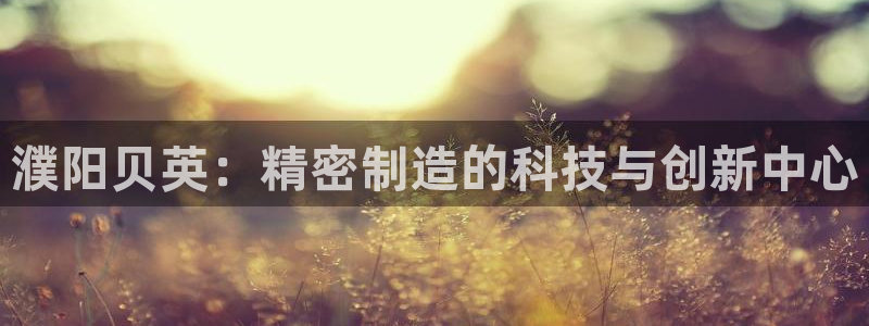 天辰娱乐指定