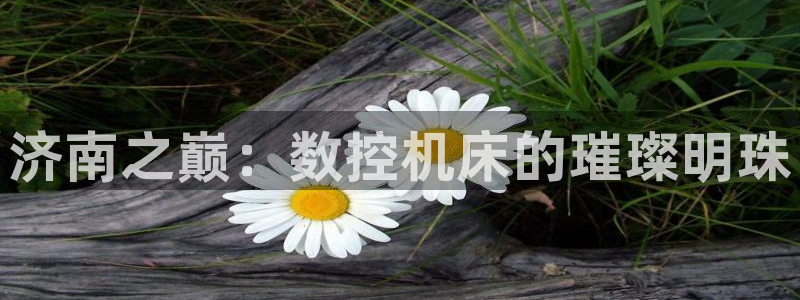 天辰娱乐557448