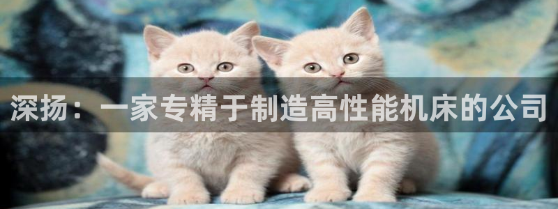 天辰娱乐电话