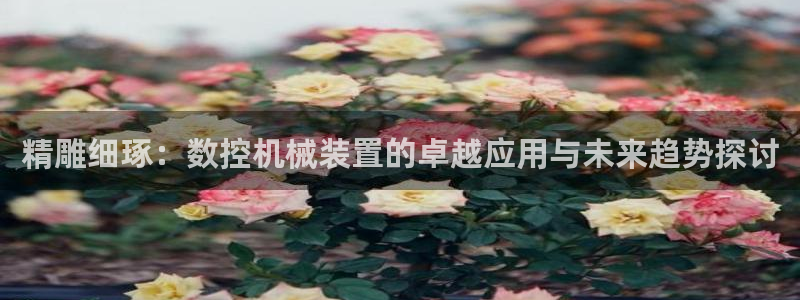 天辰娱乐内部